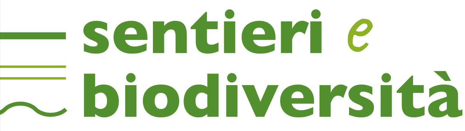 logo Sito web