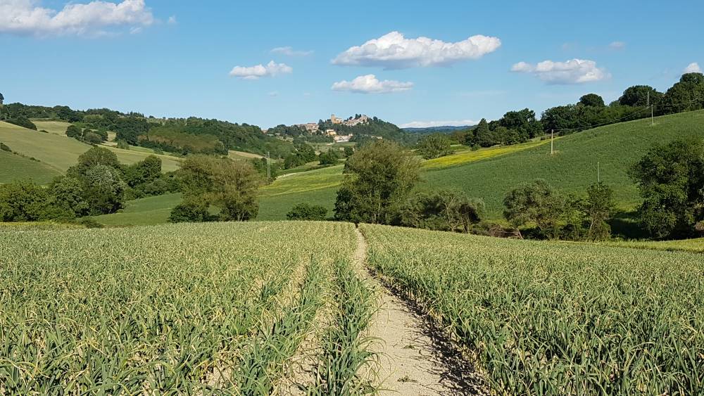 immagine principale itinerario