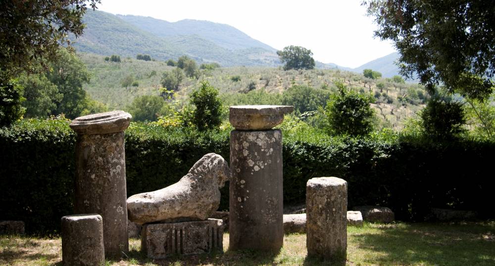 Descrizione immagine