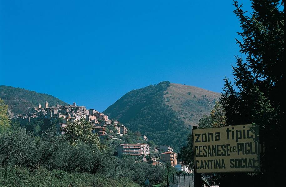 L5. Paliano - Anagni (variante latina)