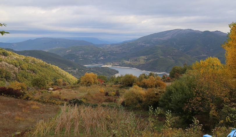 Fagiolo Pisello (Amadio)