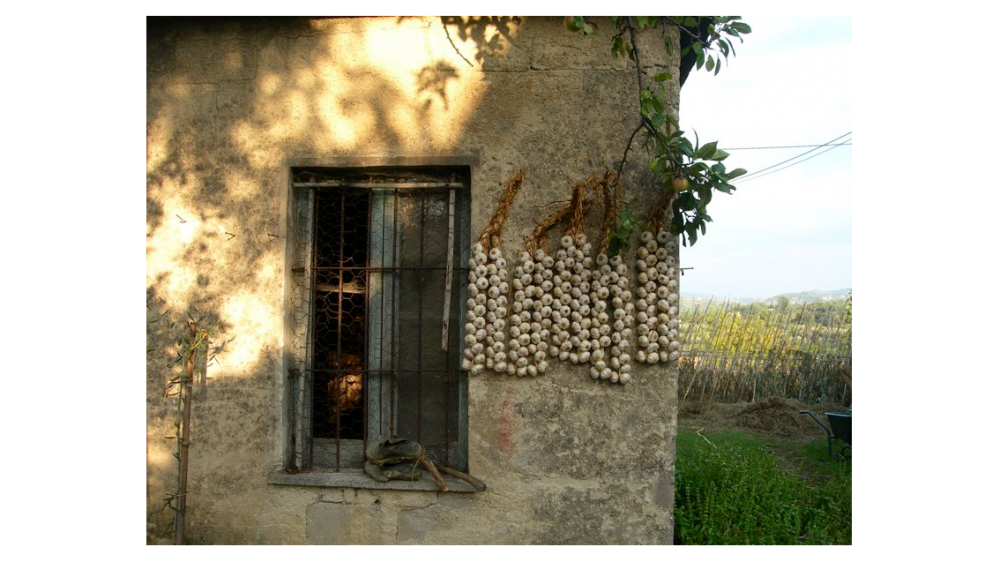 Descrizione immagine