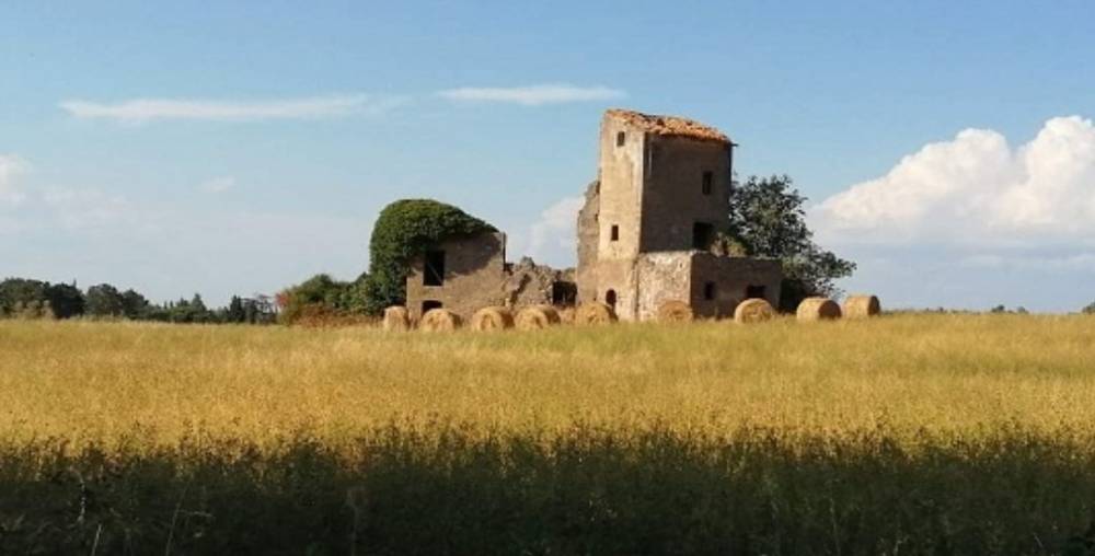 Descrizione immagine