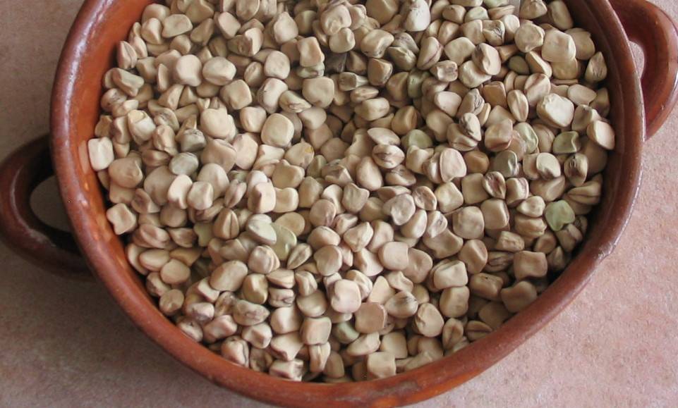 Cicerchia di Campodimele
