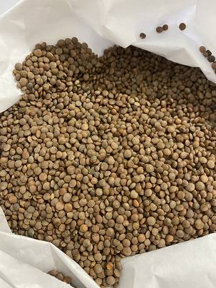 Lenticchia di Rascino