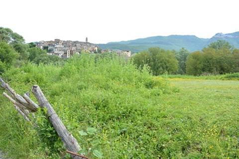 Descrizione immagine