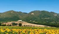 Agriturismo San Pastore