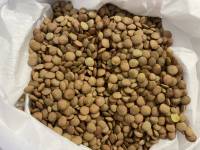 Lenticchia di Onano