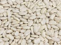 Ciavattone piccolo