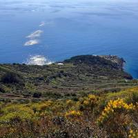 Antiche cantine Migliaccio