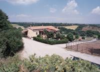 Tenuta Serpepe