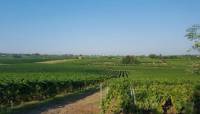 Tenuta di Pietra Porzia